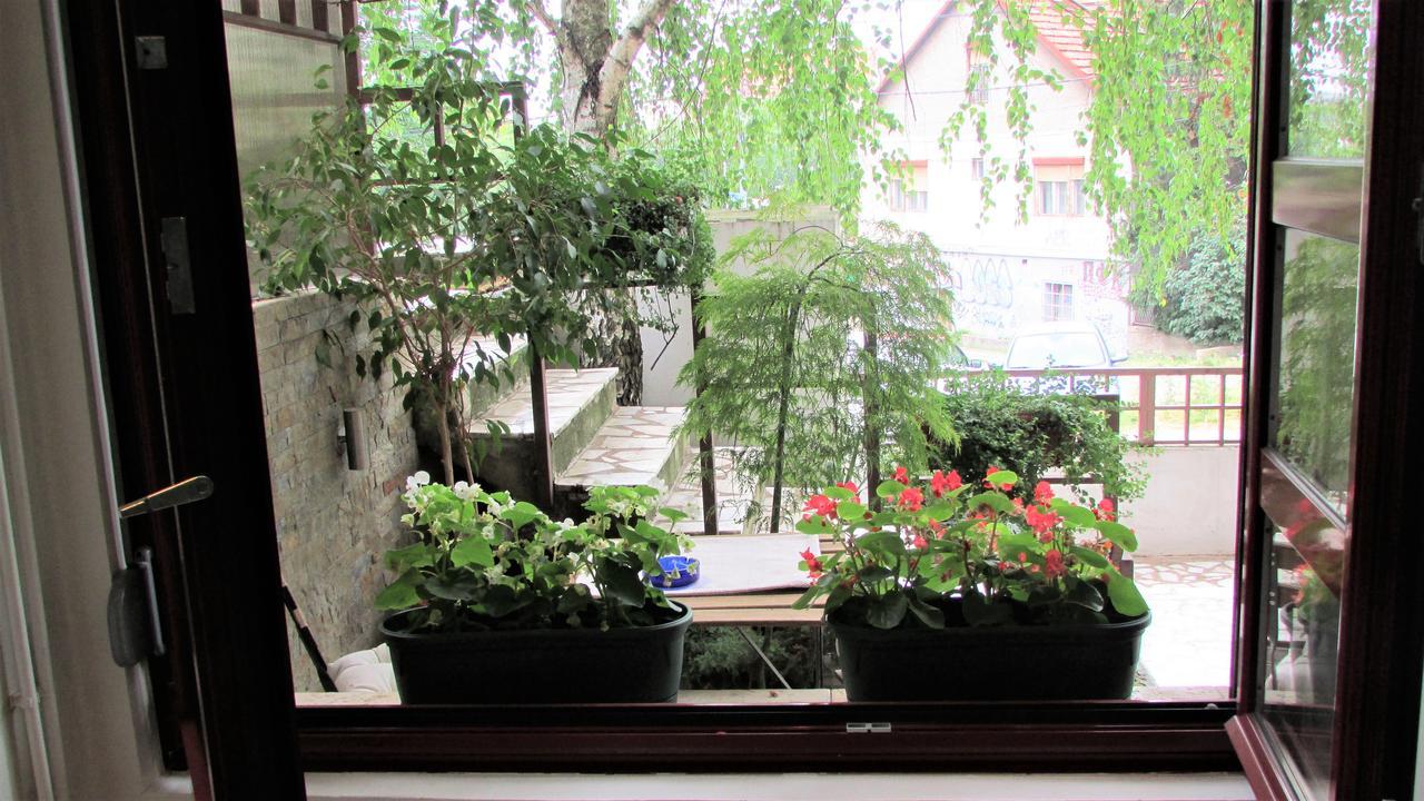 B&s Apartment Belgrade
